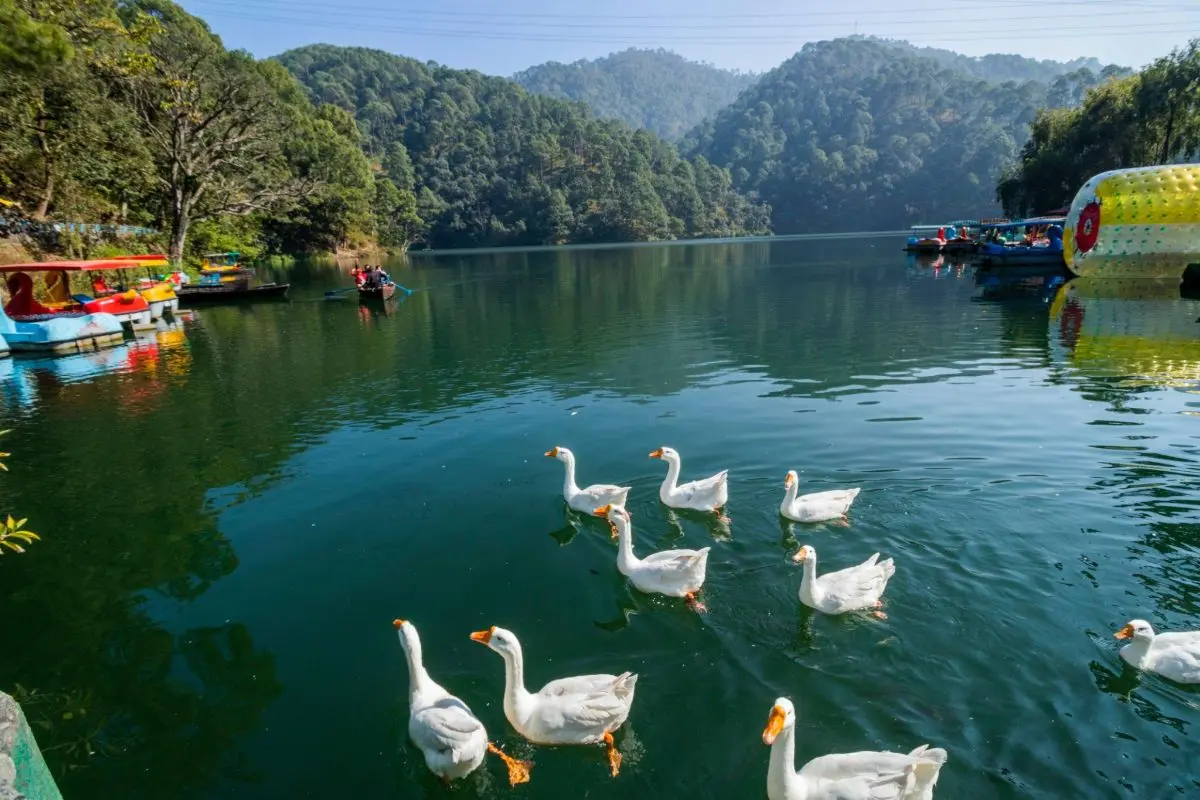 Naukuchiatal